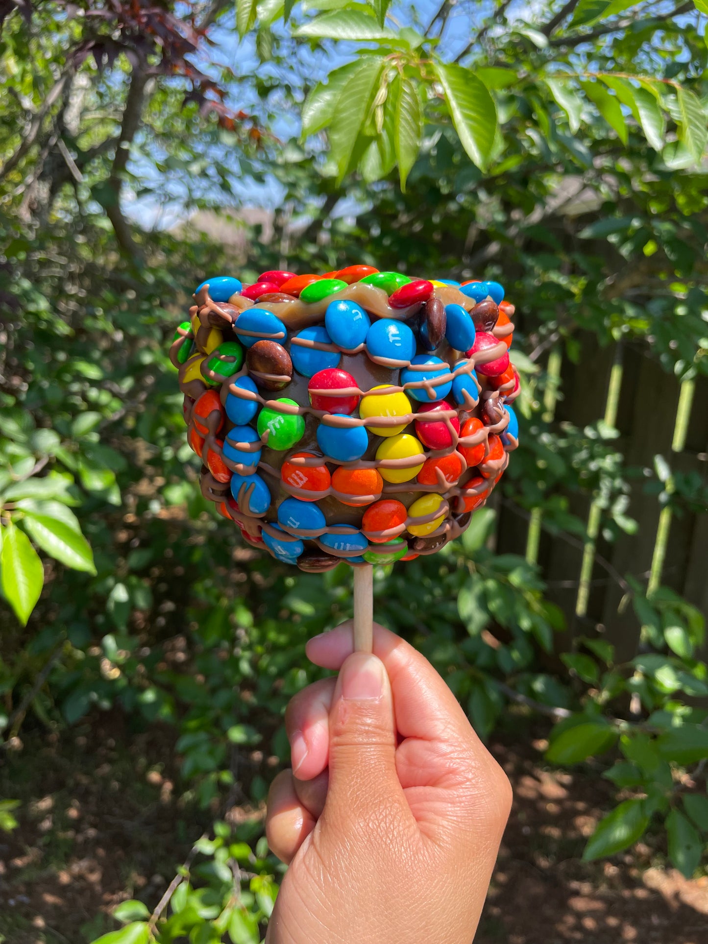 Magia M&M