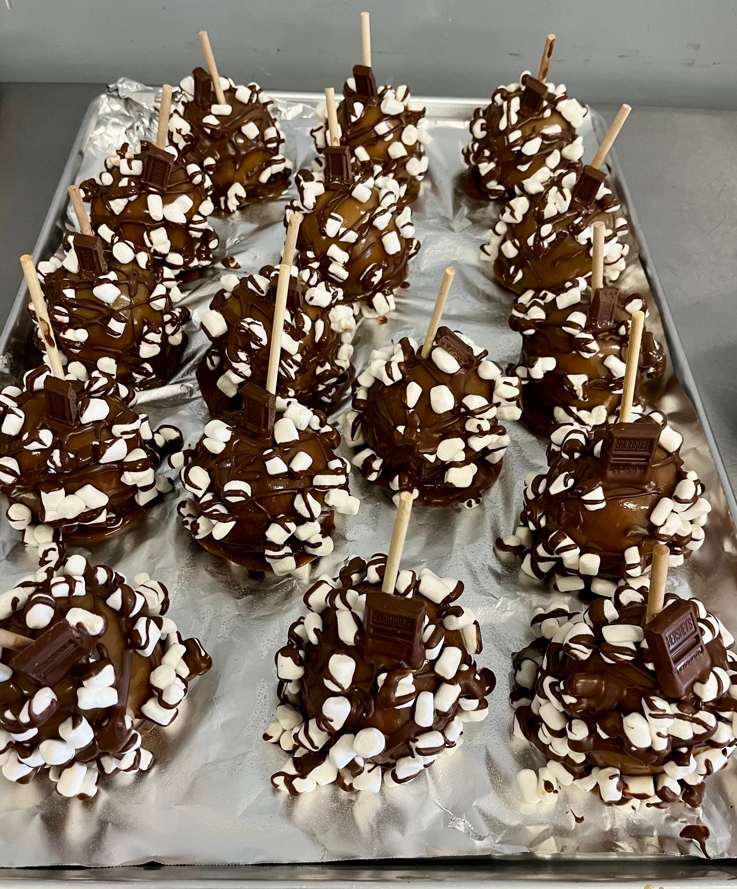 S'mores Extravaganza