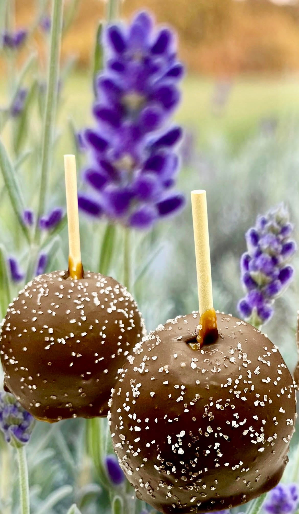 Lavender Enchantment