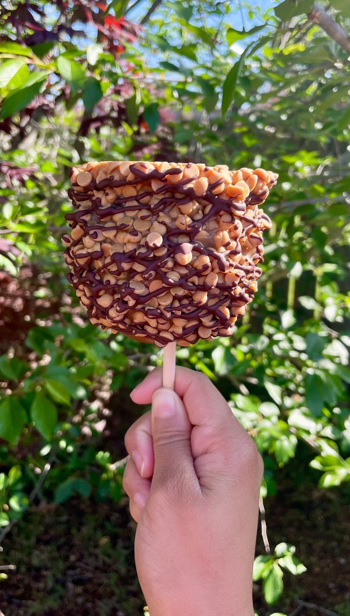 Dark Chocolate candy apple